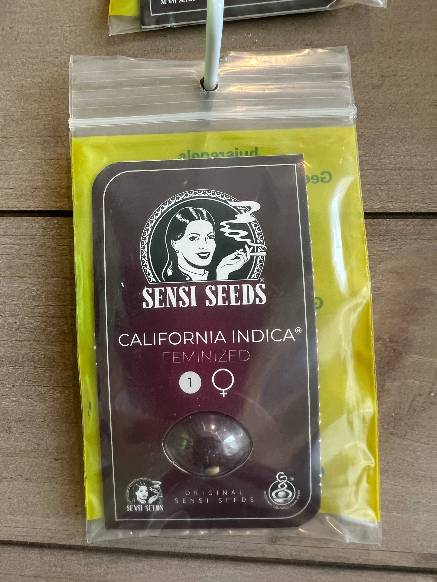 Graines de California Indica Féminisées